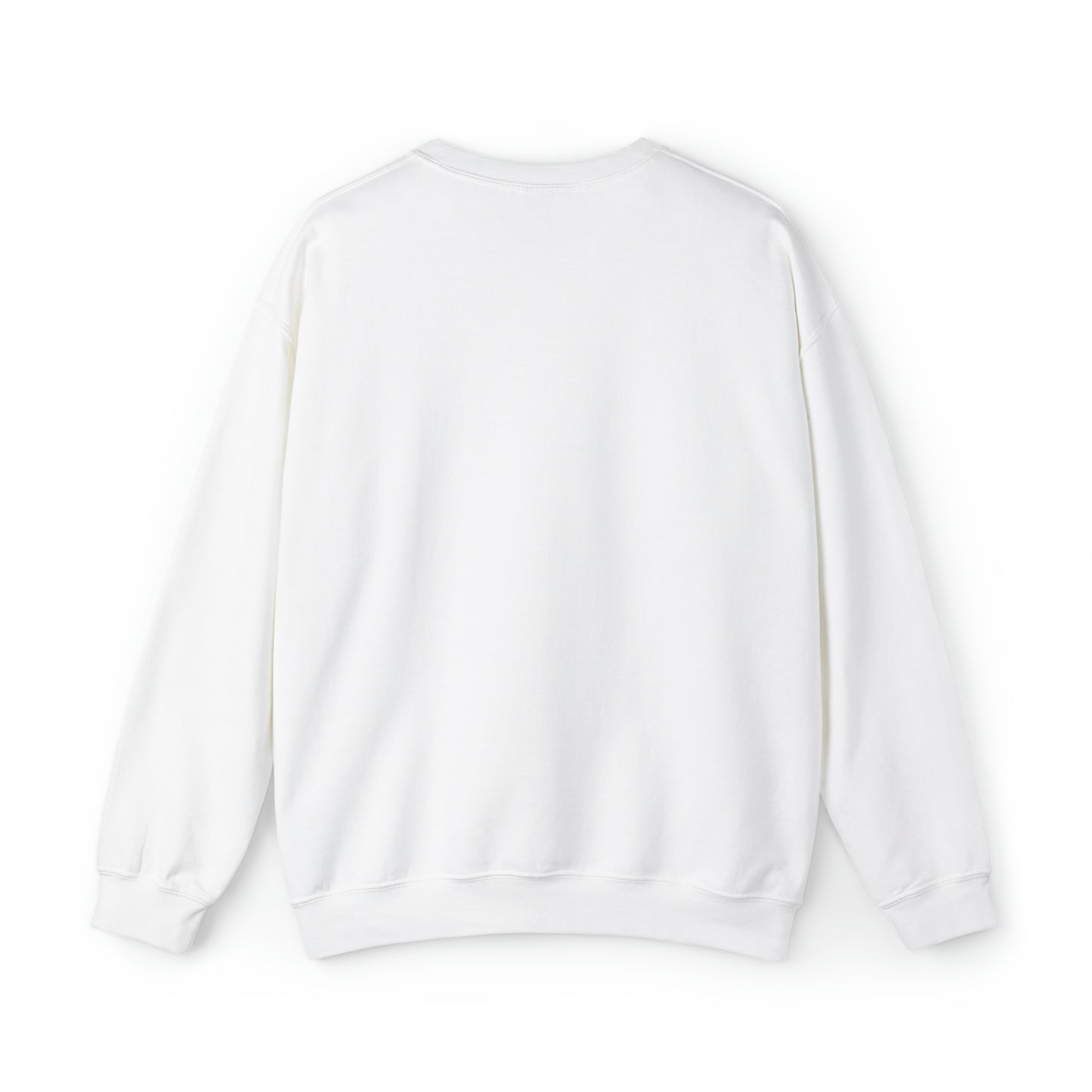 Diplomatic Vibes Soft Sweatshirt