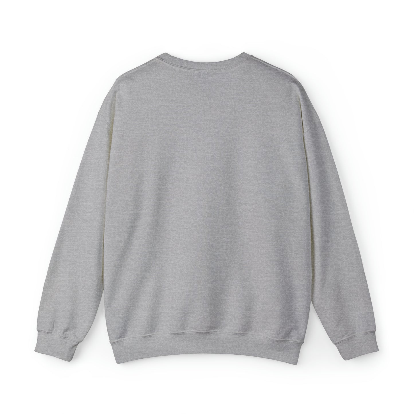 Diplomatic Vibes Soft Sweatshirt